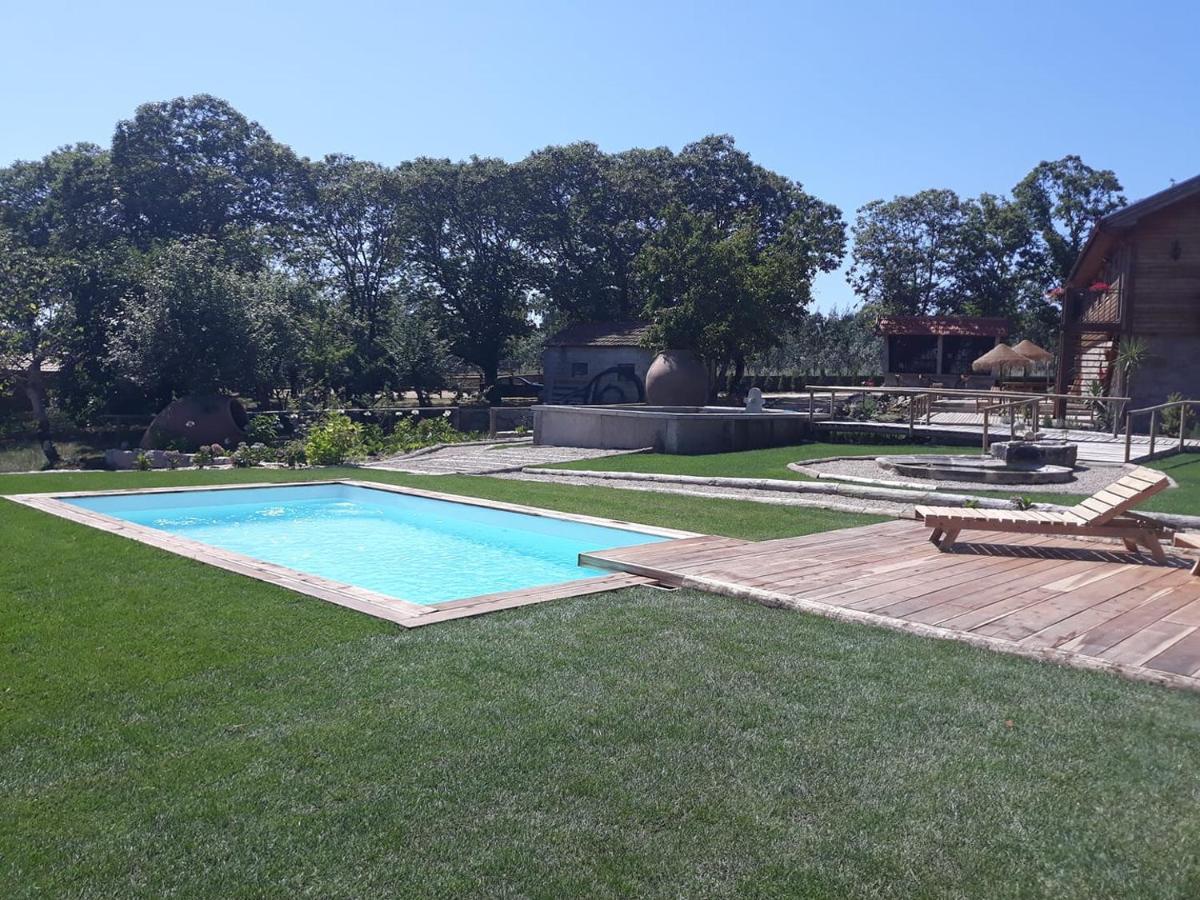 Quinta Ze Do Coval Apartman Arouca Kültér fotó